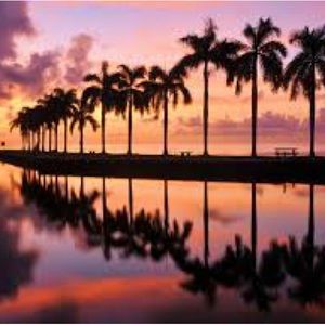 Meet your Posher, Angel